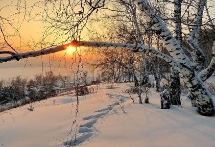 风景，自然，冬天，早晨，黎明，雪，脚印