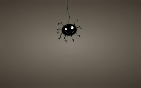 黑色，蜘蛛网，蜘蛛，黑暗的背景