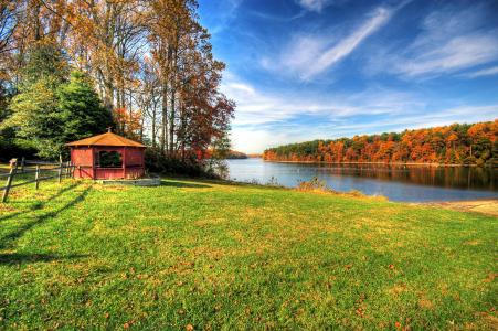秋天，河，场，森林，树木，凉亭，景观