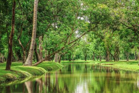 景观，自然，河，树，美女，泰国