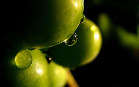 橄榄，水滴