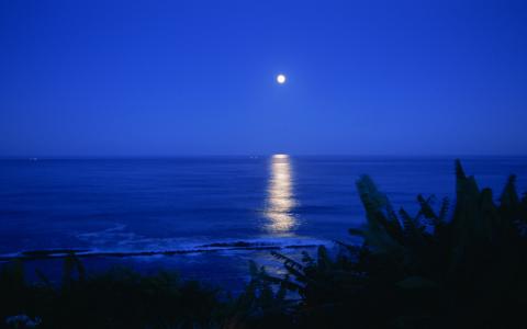 夜，海，月亮