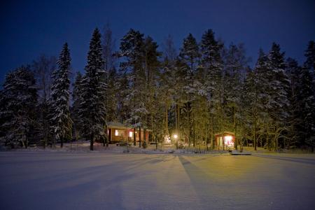 森林，灯，芬兰，夜，树，冬天，雪，光，房子