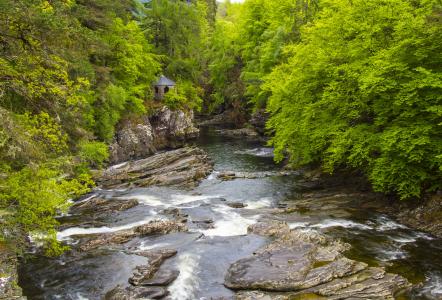 森林，树木，岩石，河流，苏格兰