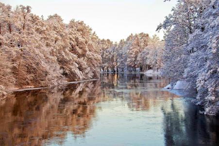 冬天，河，树木，性质