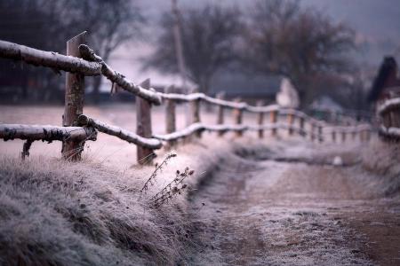 冬天，篱笆，路，白霜