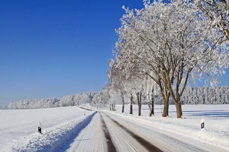 天空，冬天，雪，树，路，森林，霜，自然，景观