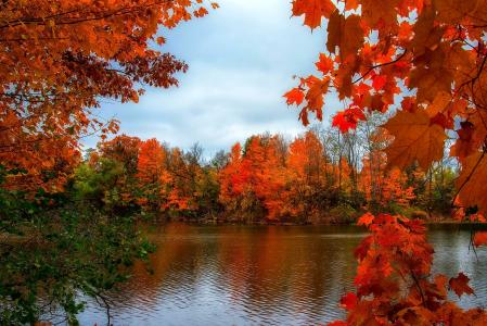 秋天，河，树木，性质