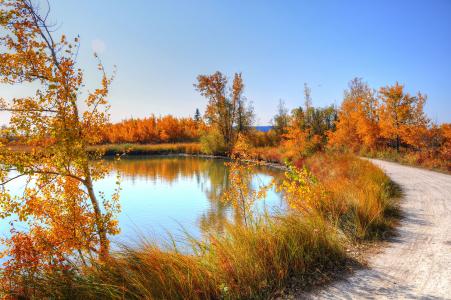 秋天，路，湖，树，景观