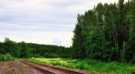铁路，desp，树木，景观