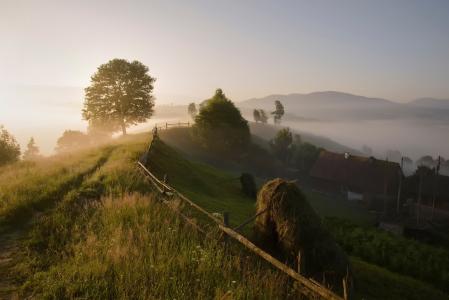 雾，喀尔巴阡山脉，早晨，夏天，村庄