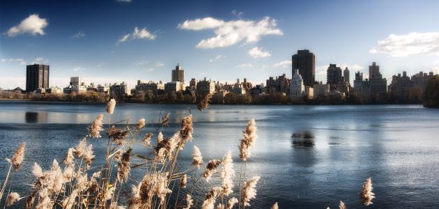 纽约，中央公园，湖，水，天空，建筑物