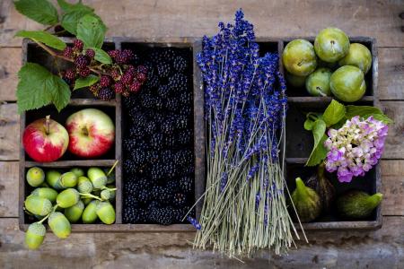 浆果，黑莓，水果，李子，苹果