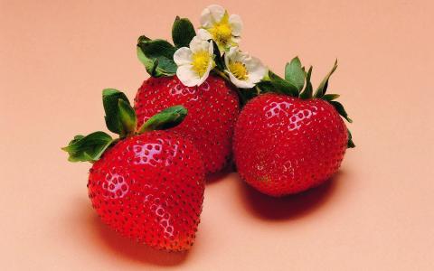 成熟的草莓，鲜花