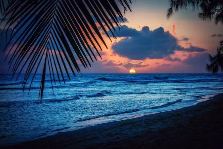 巴巴多斯，加勒比海，沙滩，晚上