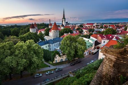 塔林，爱沙尼亚，老城，塔林，爱沙尼亚，路，建筑物，全景图
