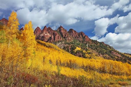 西尔弗斯山，栗色钟声，科罗拉多州，科罗拉多州，森林，秋天，树木，山脉