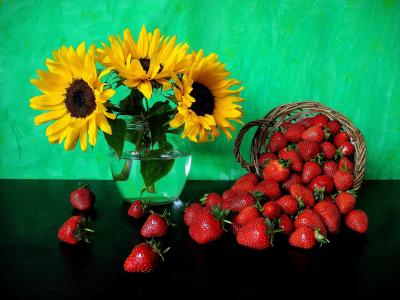 浆果，草莓，向日葵，鲜花，篮子，静物