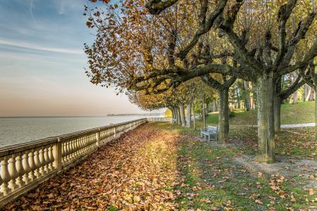 De Corzent，Leman湖，Thonon les Bains，法国，秋天，公园，树木，风景