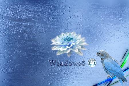 Windows 8，蓝色，壁纸