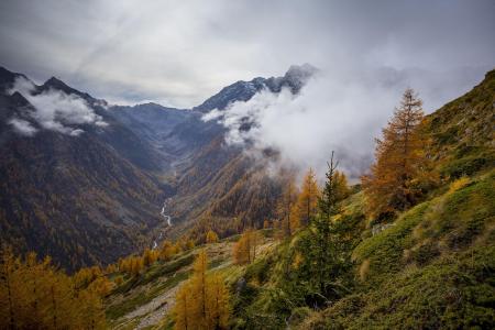 山，河，树，秋，景观，意大利