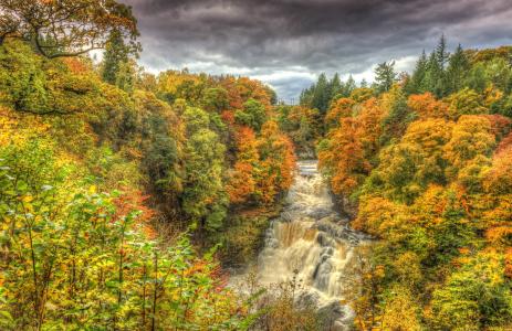 秋天，森林，河流，瀑布，景观
