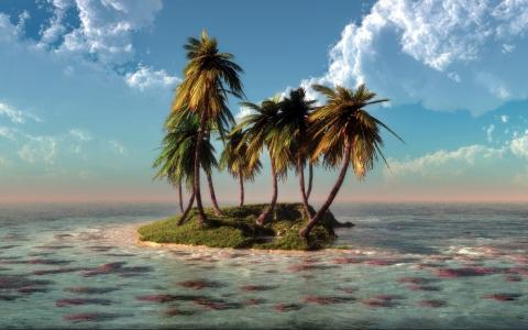 小，胰岛，棕榈，海洋