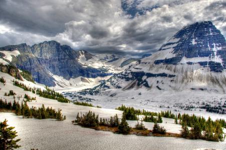 班夫国家公园，加拿大，高山，树木，冬季，景观