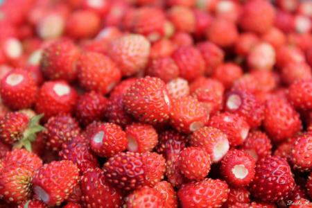 草莓，浆果