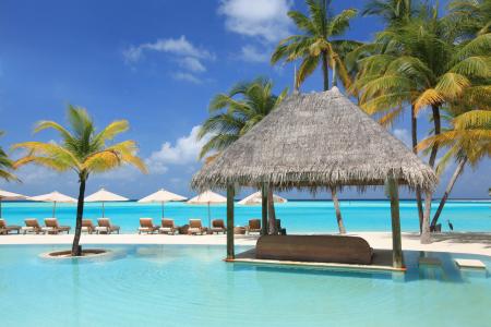 放松，棕榈树，放松，海洋，游泳池
