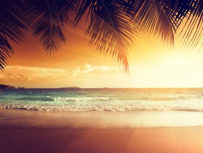 棕榈，夏天，天堂，海洋，日落，热带，海，海岸，海滩