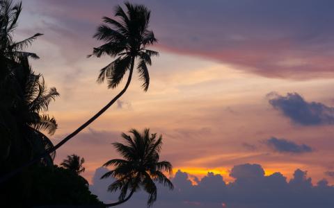 马尔代夫，马尔代夫，热带地区，棕榈树，日落，云