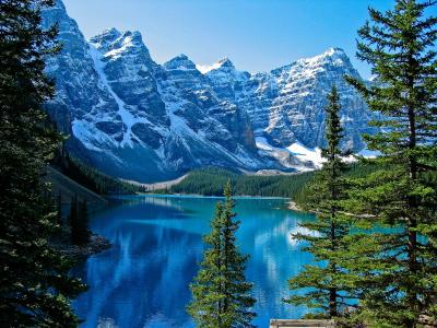 冰，，班夫国家公园，加拿大，湖，树，景观