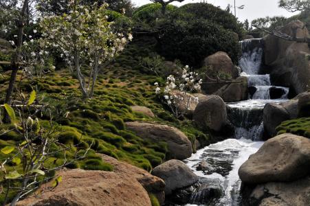瀑布，苔藓，日本，加利福尼亚