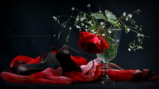 玫瑰，鞋子，花瓶，披肩，风格