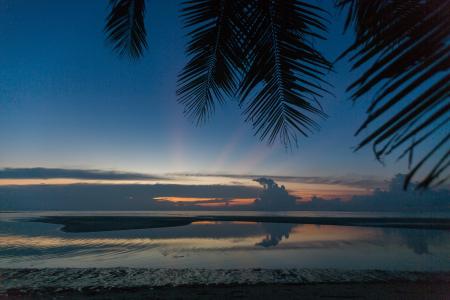 日落，棕榈，海，岛