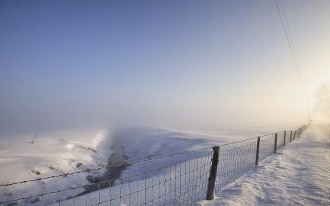 冬天，领域，篱芭，雪，雾