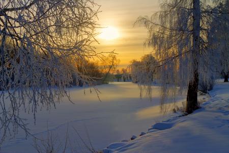 瑞典，冬天，雪，白霜，森林，树木，林间空地，早晨，太阳，日出
