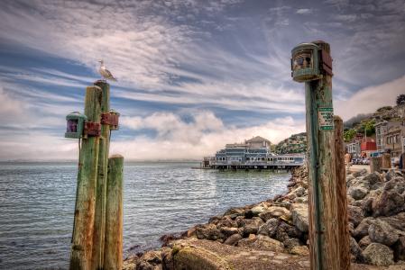 旧金山湾，石头，建筑物，柱子，海鸥，景观