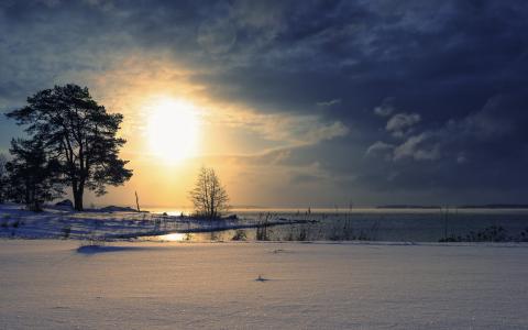 日落，湖，冬天，景观