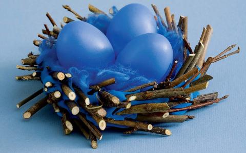 蓝色的鸡蛋，巢