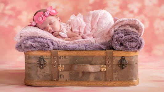 女孩，婴儿，睡觉，睡眠，花圈，手提箱