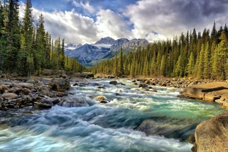 米斯塔亚河，班夫国家公园，加拿大艾伯塔省，班夫，加拿大艾伯塔省，河流，山脉，森林，溪流，石头