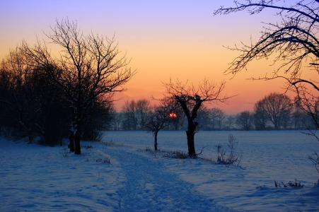 日落，冬季，道路，树木，景观