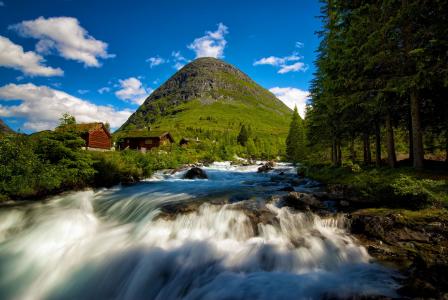 挪威，挪威，河，山，流，森林，树，景观