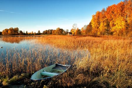 秋天，船，湖，树木，房屋。