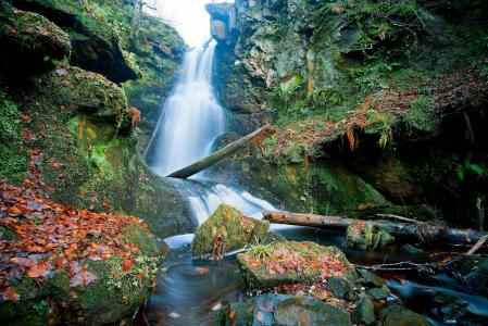 苏格兰，瀑布，石头，叶子，原木