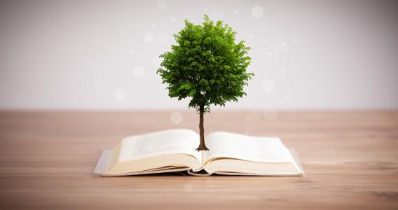 树，书，主题