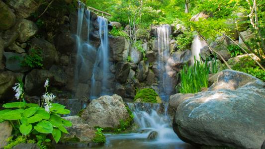 河，瀑布，石头，植物，树木，自然