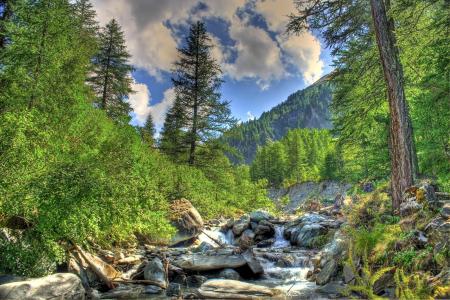 法国阿尔卑斯 - 德 - 上普罗旺斯，лес，горы，река